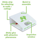 SPIDER ANT KILLER TRAPS INSECT SPRAY POISON FREE TRAP CRAWLING PEST CONTROL BUG & ALL CRAWLING INSECT NON POISON TRAP - Moth Control